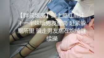 【AI换脸视频】迪丽热巴《女匪驾到》