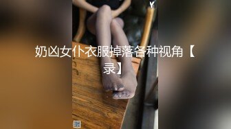 奶凶女仆衣服掉落各种视角【录】