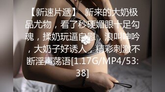    IPX-729 敬啟者「我睡走大嫂了。」 我的大嫂真實一面、  岬奈奈美[中文字幕]