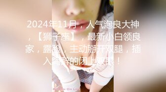 2024年11月，人气泡良大神，【狮子座】，最新小白领良家，露脸，主动掰开双腿，插入陶醉的闭上双眼！