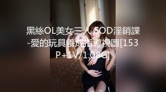 黑絲OL美女三人 SOD淫銷課-愛的玩具養成指導視圖[153P+1V/1.08G]