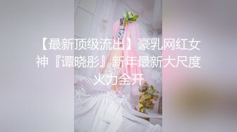 二月最新流出TW大神（野狼）潜入景区女厕偷拍美女尿尿系列第28季气质连衣裙美女脱裙子尿尿