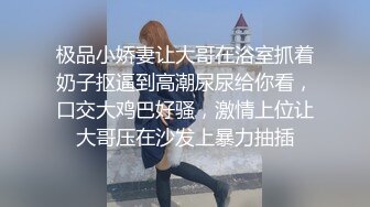 《台湾情侣泄密》分手后被渣男曝光隐私的明星脸美女