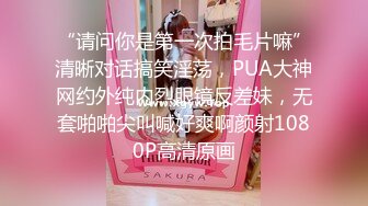 《云盘重磅泄密》极品容颜高气质女神小姐姐（姗姗）与富二代露脸调教啪啪自拍极度反差成为小母狗1080P原版