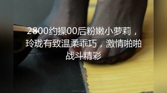 二月新流出商场女厕后拍极品收藏补习班下课少女粉秋裤学妹换卫生巾