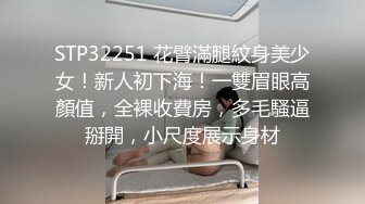 国产AV 大象传媒 性爱机器人 蒂法