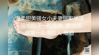 麻豆传媒 MM-089 香港无罩高楼性爱-吴梦梦