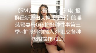 《SM调教✅臀控必享》电_报群最新流出大神【宇轩】的淫荡骚妻母G私拍各种性事第三季~扩张异物插入3P肛交各种极限操作 (12)