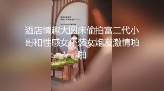 良家细嫂子太久没约饥渴难耐自己就做上来了