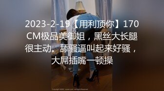  人妖※女模※ 小伙激情大乱草 女模被人妖压在身下爆干 人妖被小哥后入干菊花