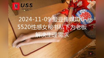  2024-11-09 爱豆传媒IDG-5520性感女秘书私下为老板解决生理需求