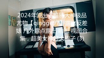 2024年流出，推特大神极品尤物【qingge97】露出反差婊 户外露点露出 啪啪 视图合集，超美女神好大胆子 (3)