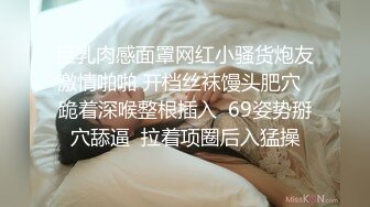 青岛小母狗后入，淫叫