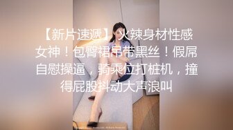 伪娘与肉装直男们