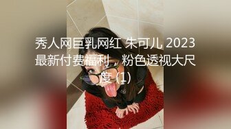 秀人网巨乳网红 朱可儿 2023最新付费福利，粉色透视大尺度 (1)