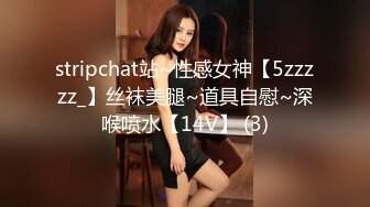 stripchat站~性感女神【5zzzzz_】丝袜美腿~道具自慰~深喉喷水【14V】 (3)