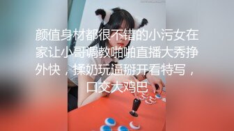 气质长发新人妹子，全裸一个人独居掰穴自慰，完美露出极品鲍鱼