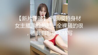 骚母狗4