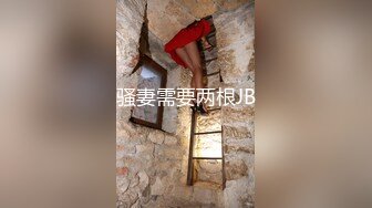 骚妻需要两根JB