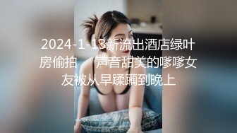 外淑女内骚的少妇