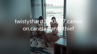 twistyshard.17.08.27.cameron.canela.panty.thief