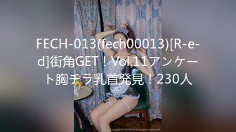 FECH-013(fech00013)[R-e-d]街角GET！Vol.11アンケート胸チラ乳首発見！230人